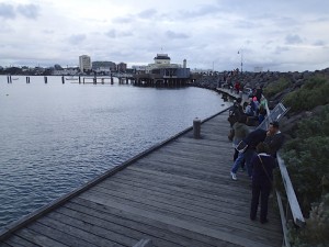 melbourne st kilda