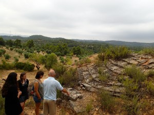 Garrigues